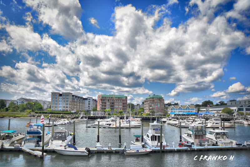 Harbor Point Boardwalk photo 2