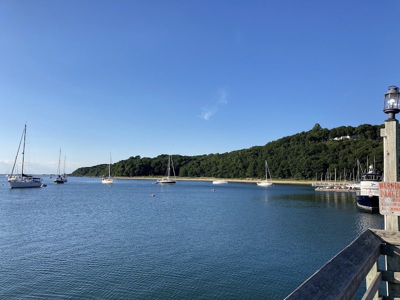 Harborfront Park photo 3
