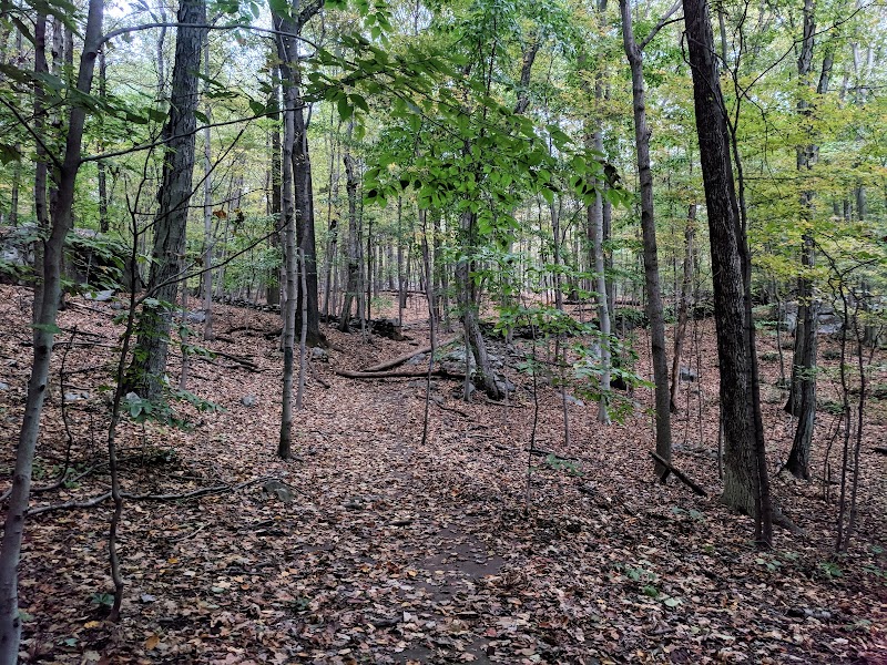 Hardscrabble Wilderness Area photo 2