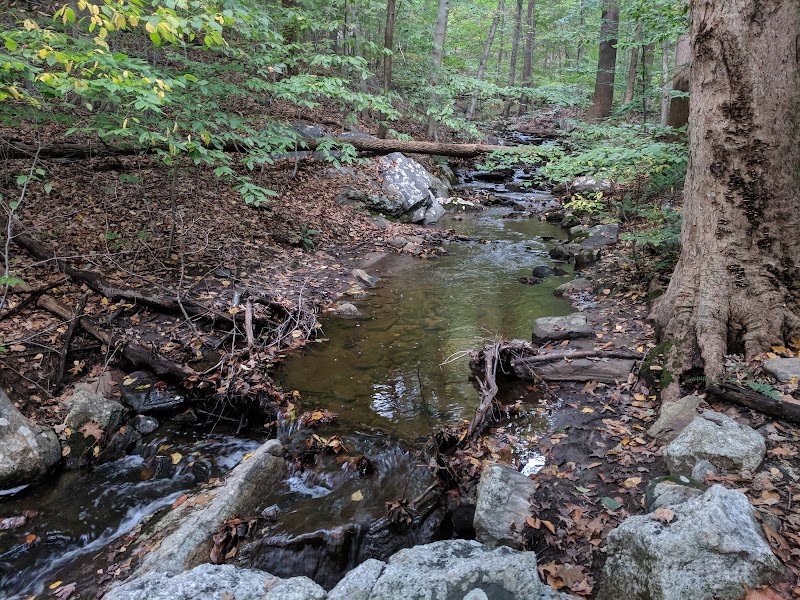 Hardscrabble Wilderness Area photo 4