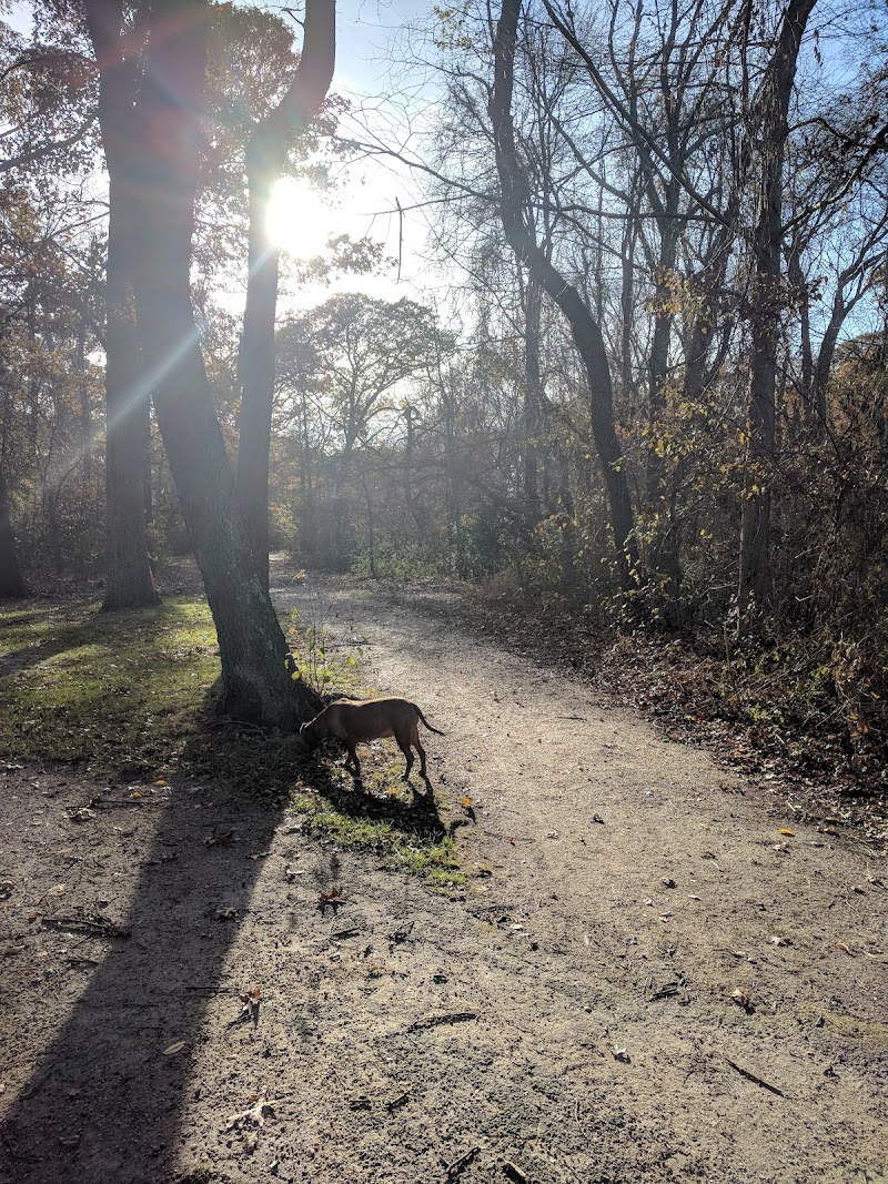 Harold Walker Memorial Park photo 4