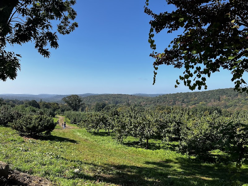 Harvest Moon Farm & Orchard photo 4