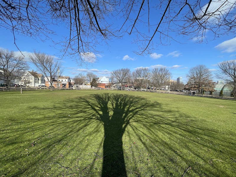 Hatch Field photo 4