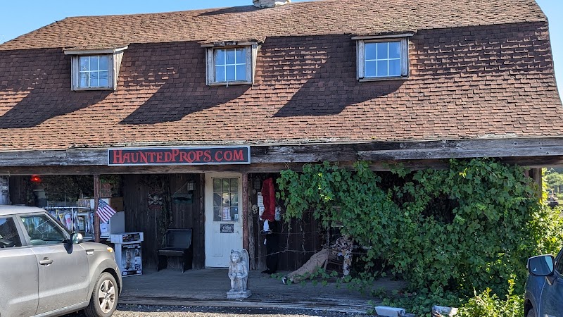 HAUNTEDPROPS.COM photo 5