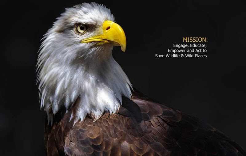 Hawk Creek Wildlife Center, Inc. photo 1