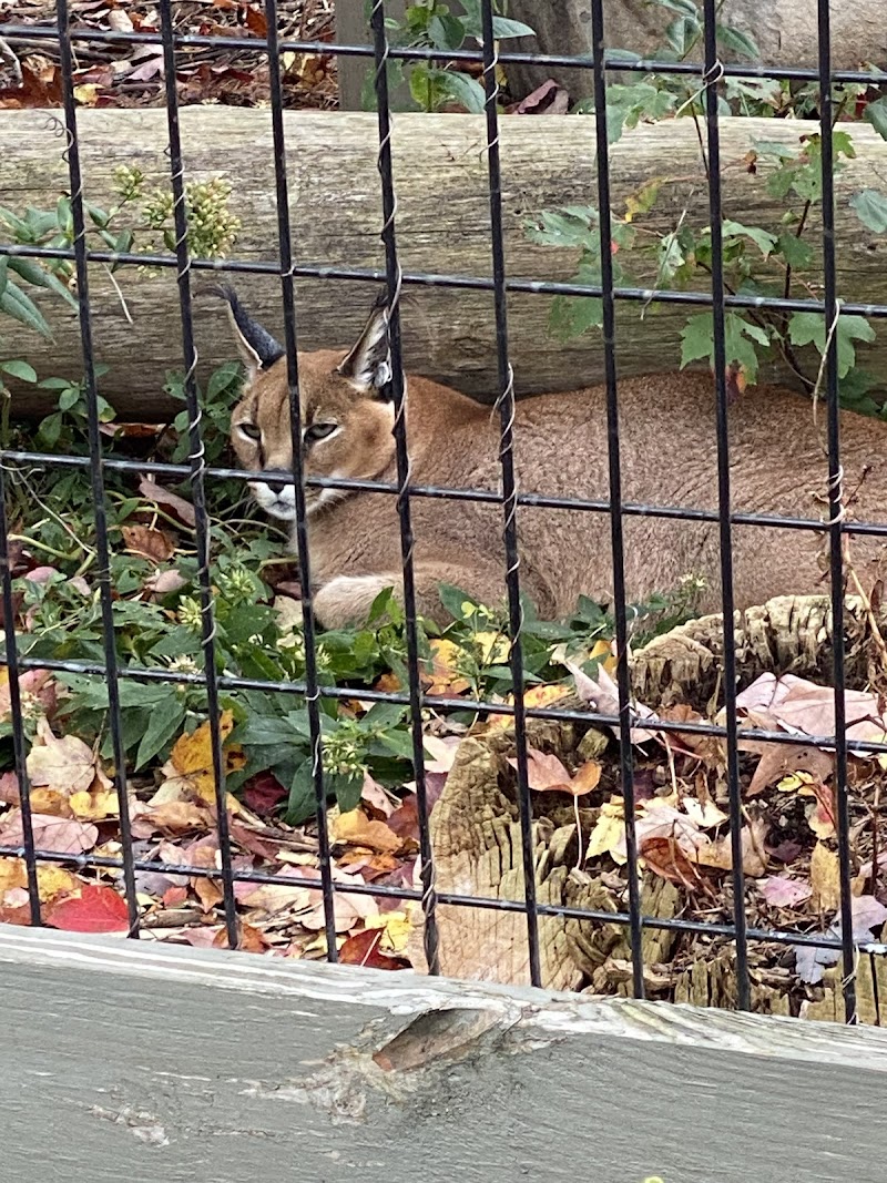 Hawk Creek Wildlife Center, Inc. photo 3