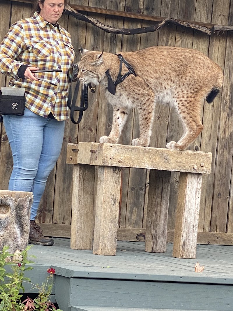 Hawk Creek Wildlife Center, Inc. photo 4