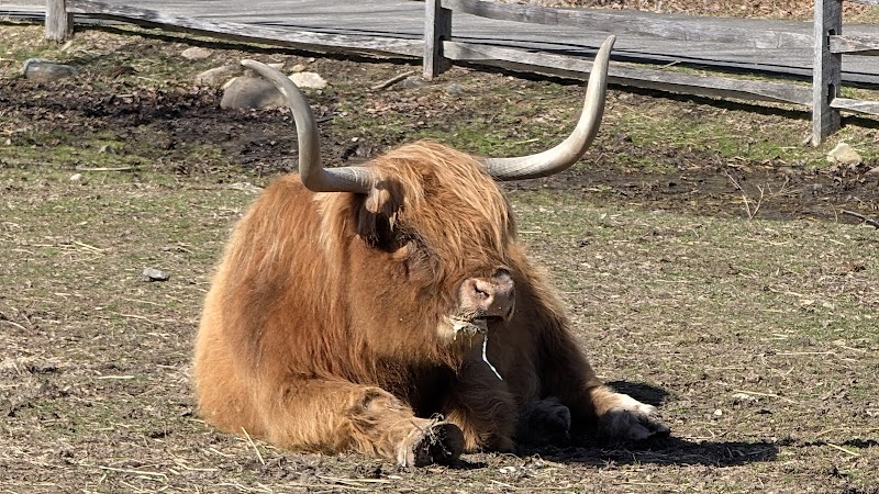 Heckscher Farm photo 2