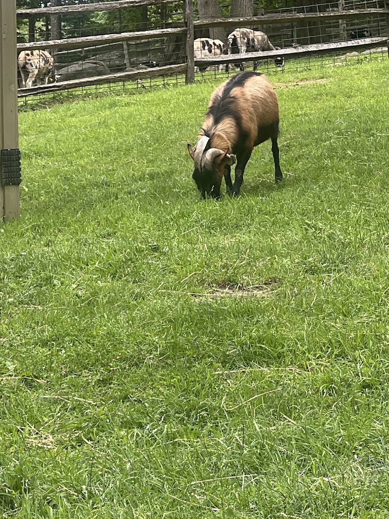 Heckscher Farm photo 3