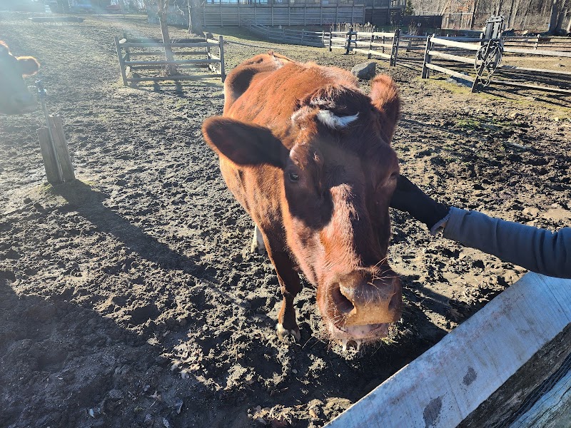 Heckscher Farm photo 4