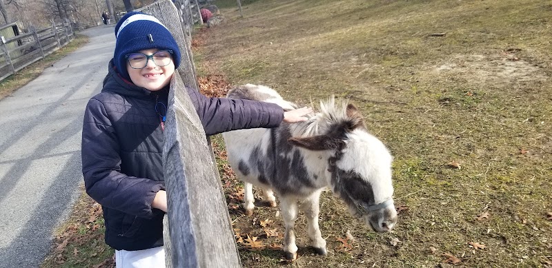 Heckscher Farm photo 5