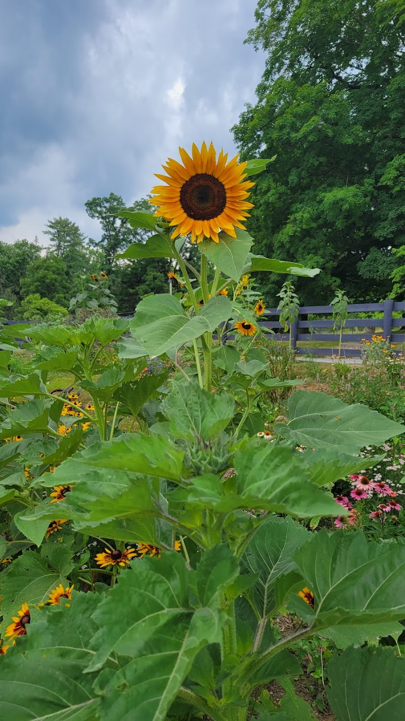 Hemlock Hill Farm photo 3