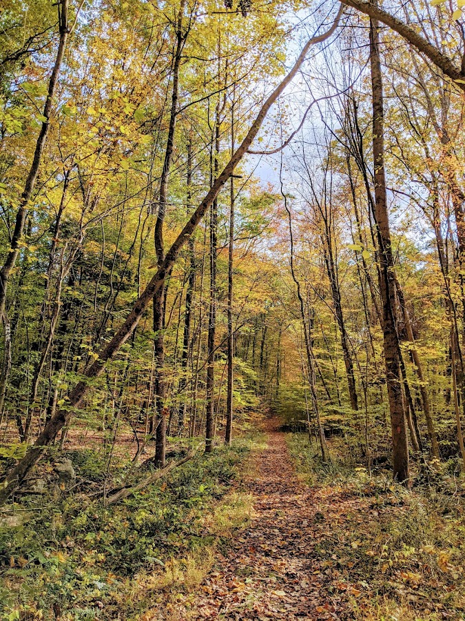 Hemlock Hills photo 2