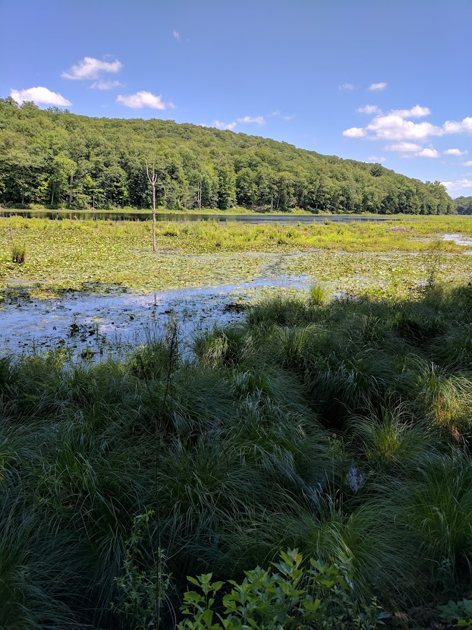 Hemlock Hills photo 3