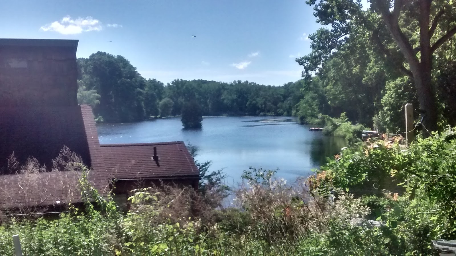 Hemlock Hills photo 4