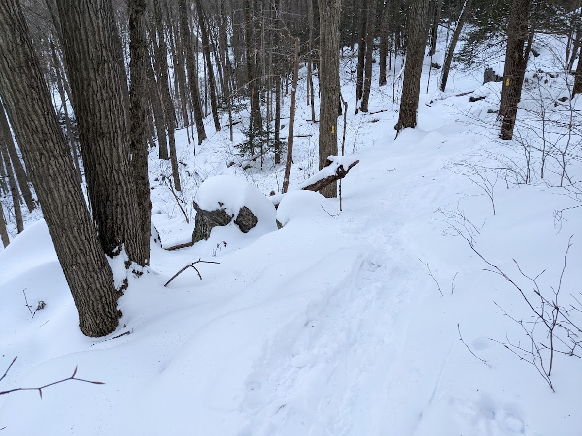 Hemlock Hills photo 5