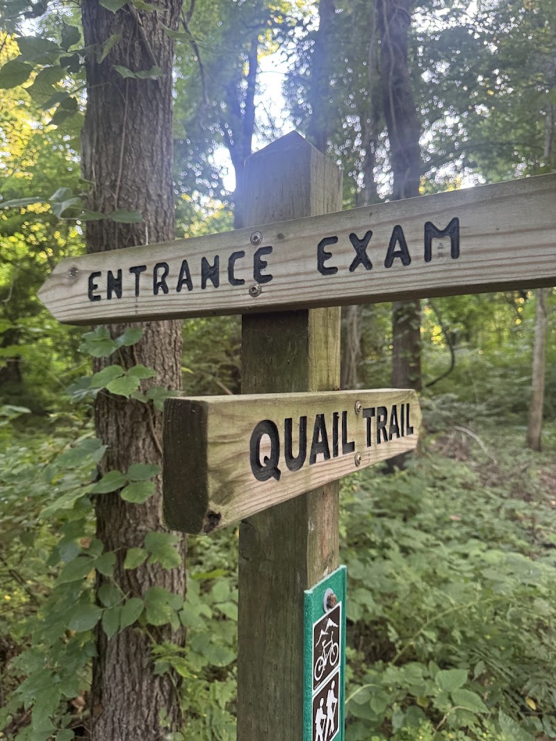 Hempstead Harbor Woods Mountain Bike Trails photo 4