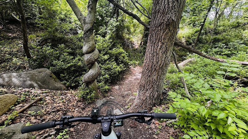 Hempstead Harbor Woods Mountain Bike Trails photo 5