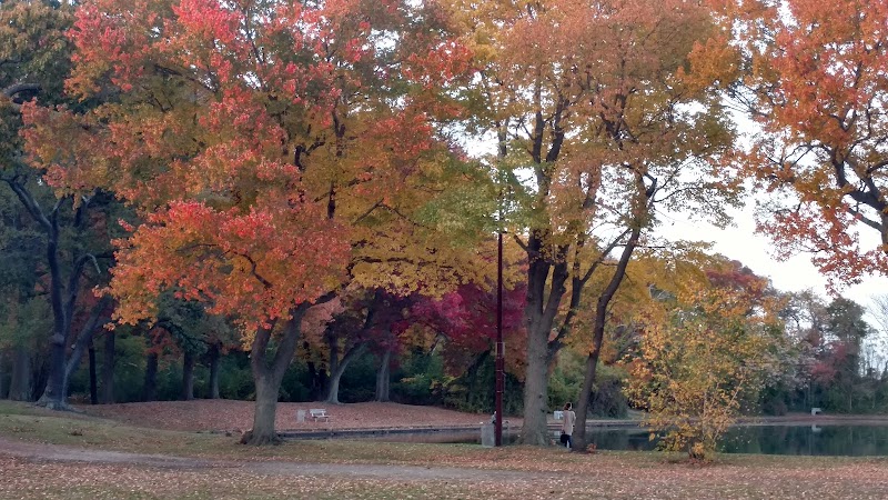 Hempstead Lake photo 3