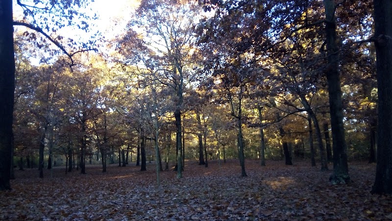 Hempstead Lake State Park photo 4