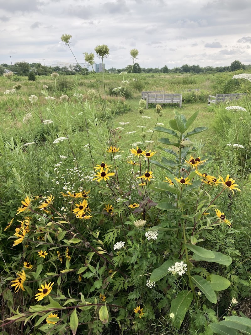 Hempstead Plains Preserve