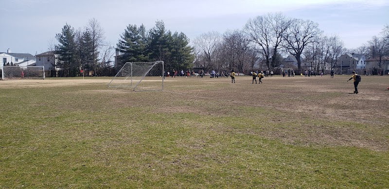 Henry Street Park photo 1