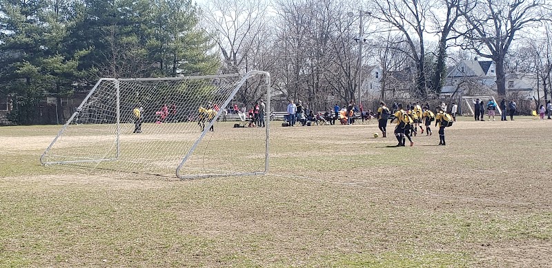Henry Street Park photo 4