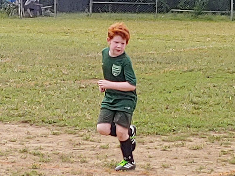 Henry Street Park photo 5