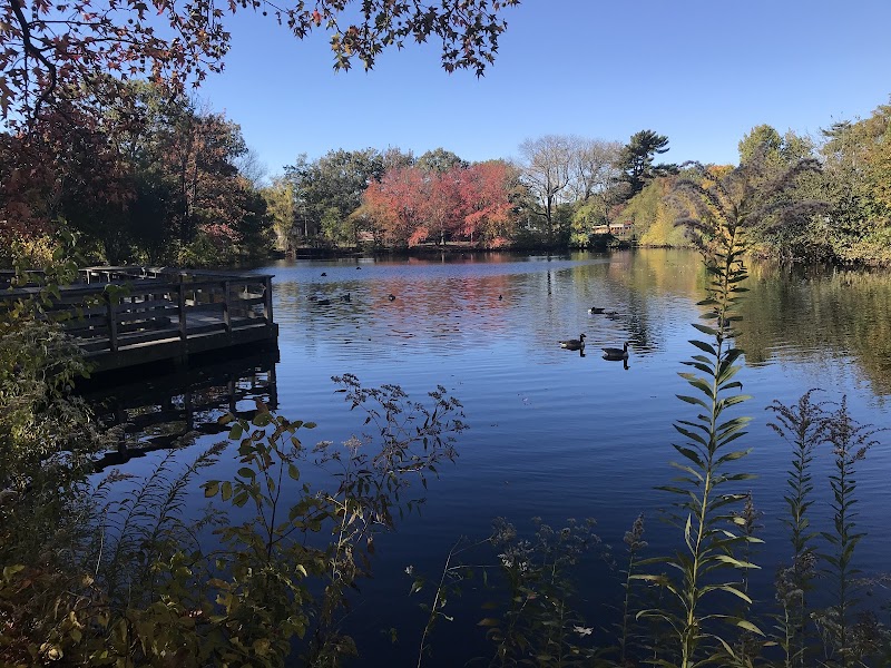 Herricks Pond photo 2