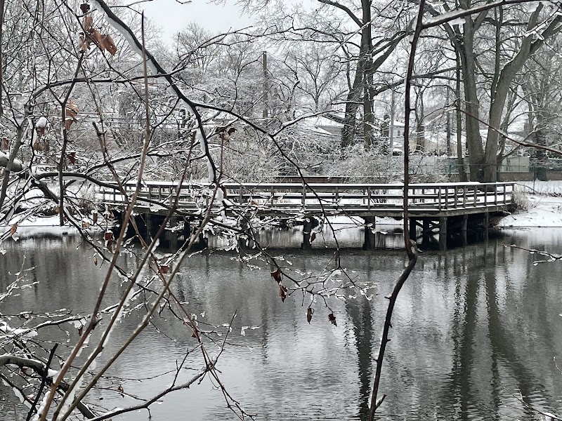 Herricks Pond photo 5