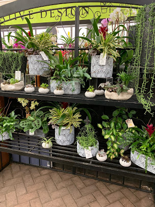 Hicks Nurseries, Inc. photo 5