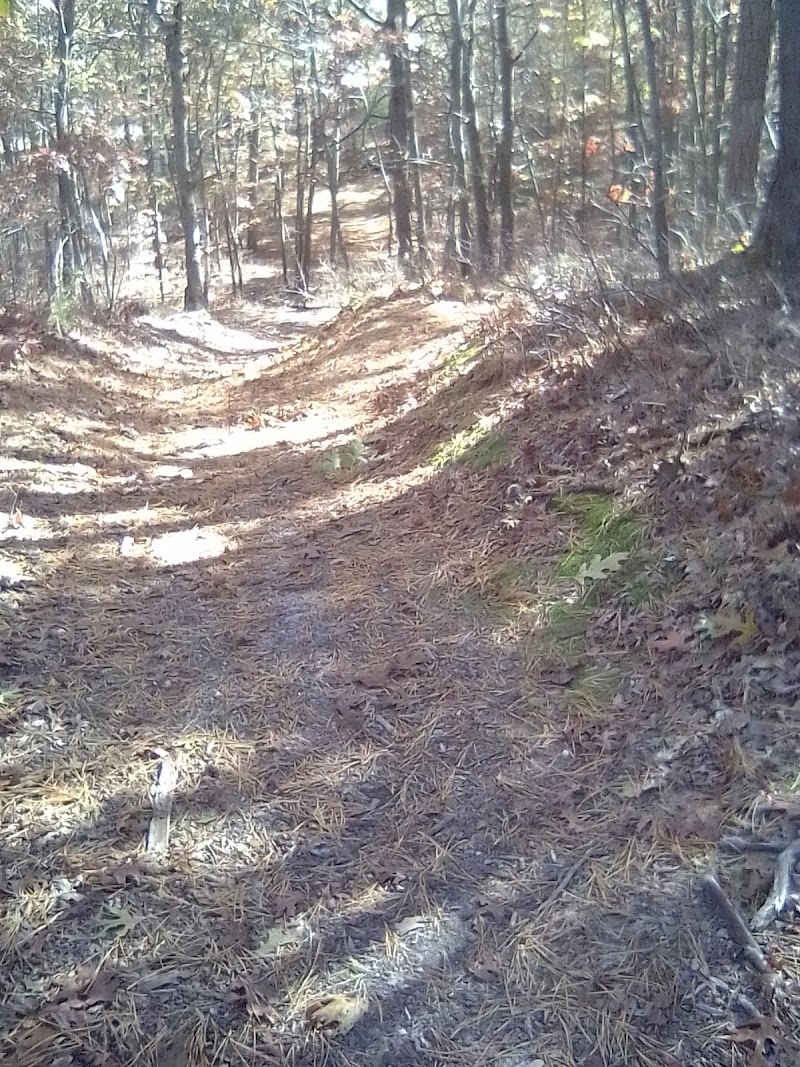 Hidden Pond Park photo 4