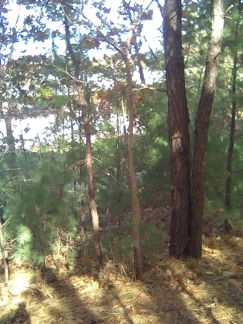 Hidden Pond Park photo 5