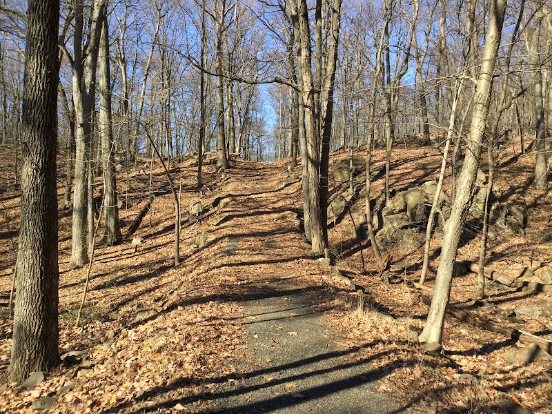 High Tor State Park photo 5