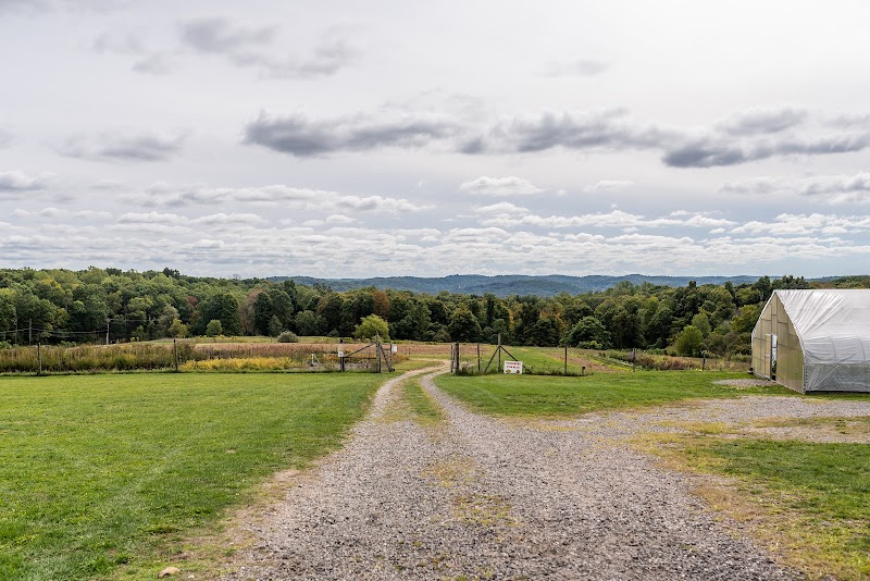 Hilltop Hanover Farm & Environmental Center photo 3
