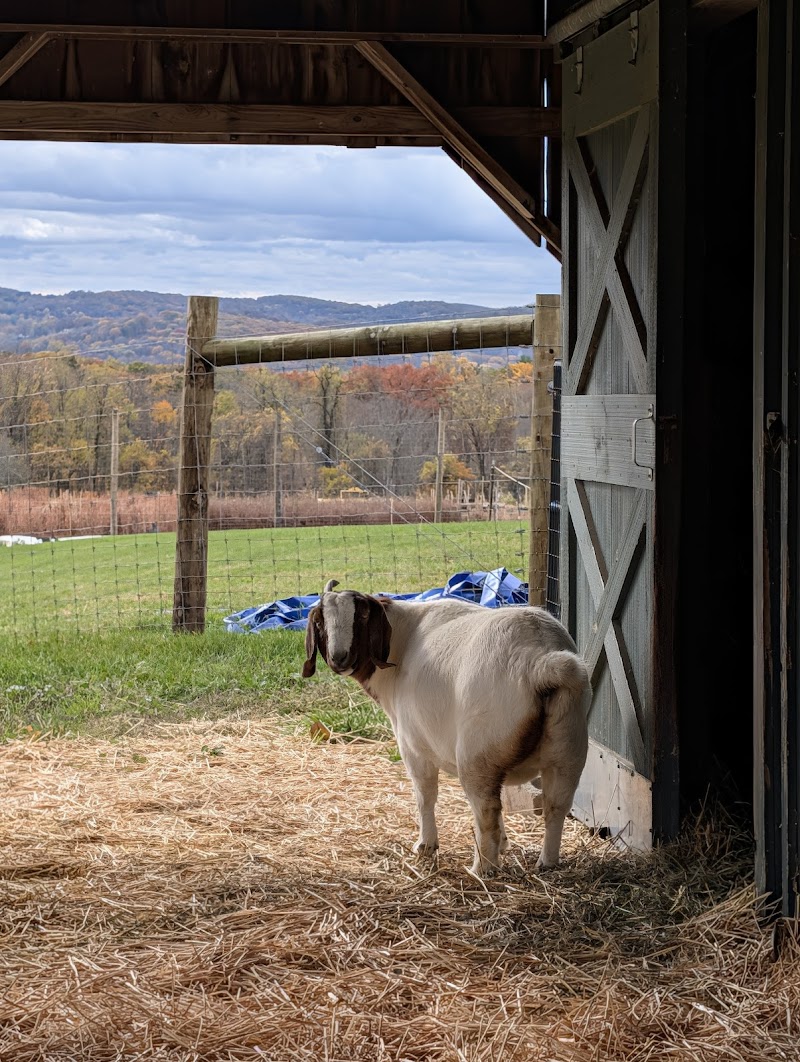 Hilltop Hanover Farm & Environmental Center photo 5