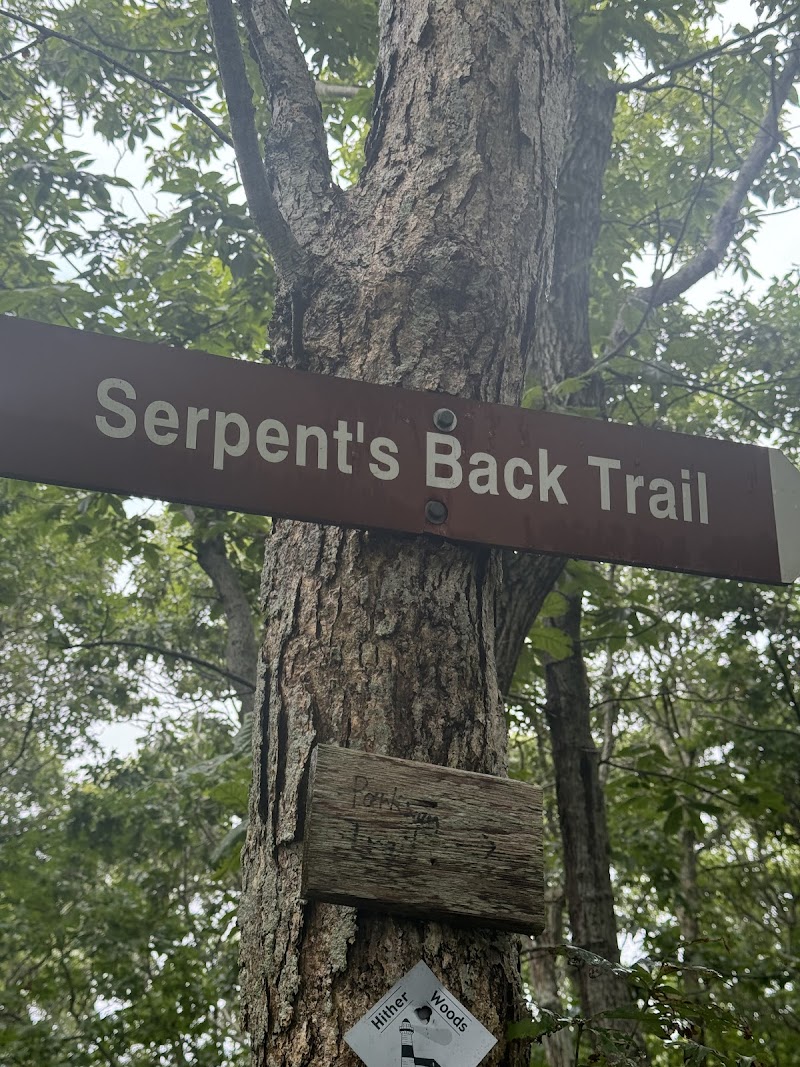 Hither Woods Preserve photo 5
