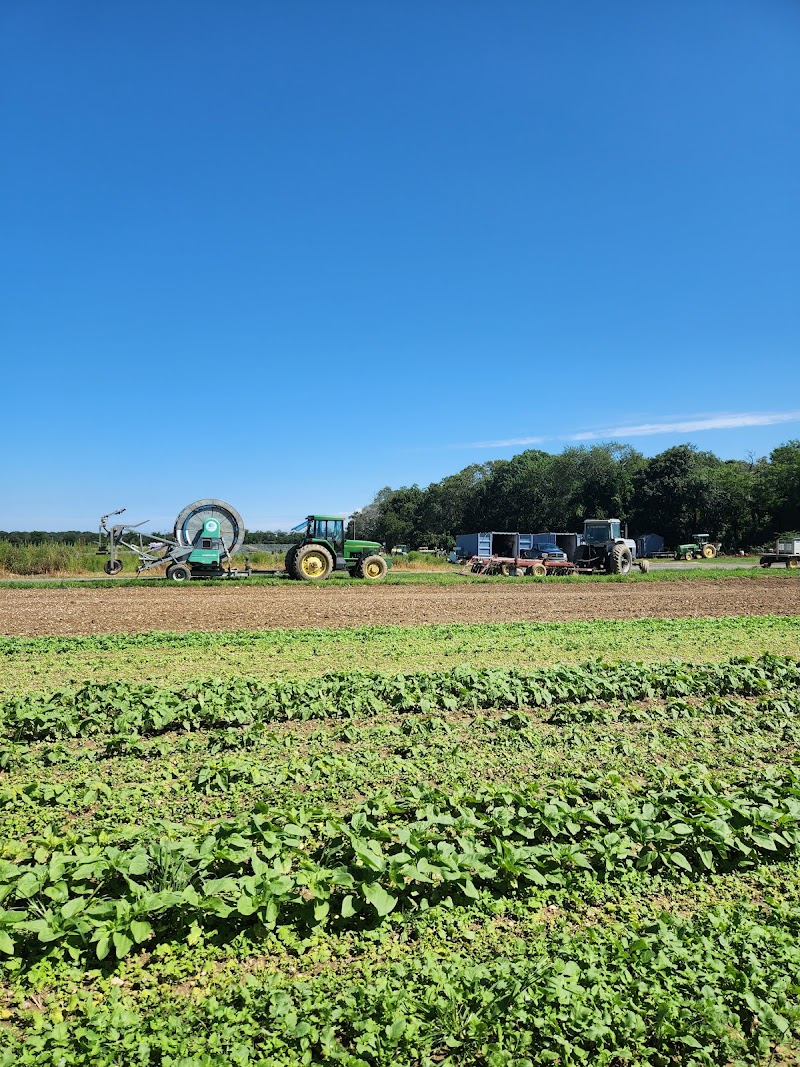 Hodun Farms photo 3