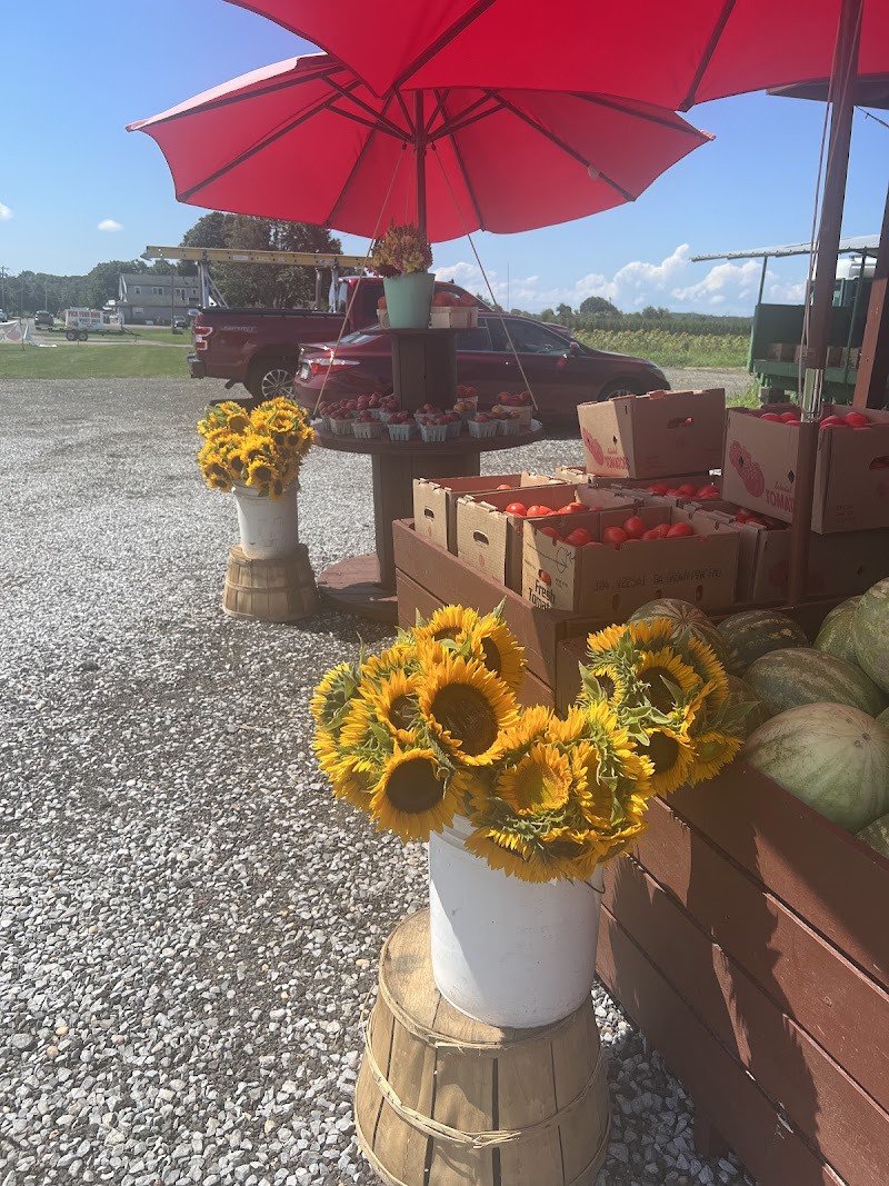 Hodun Farms photo 4