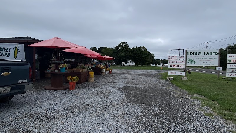 Hodun Farms photo 5