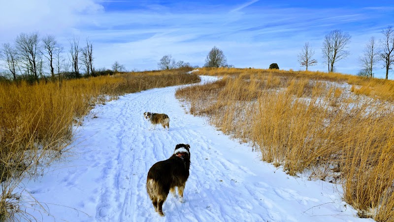Holcombe Hill Wildlife Preserve photo 3