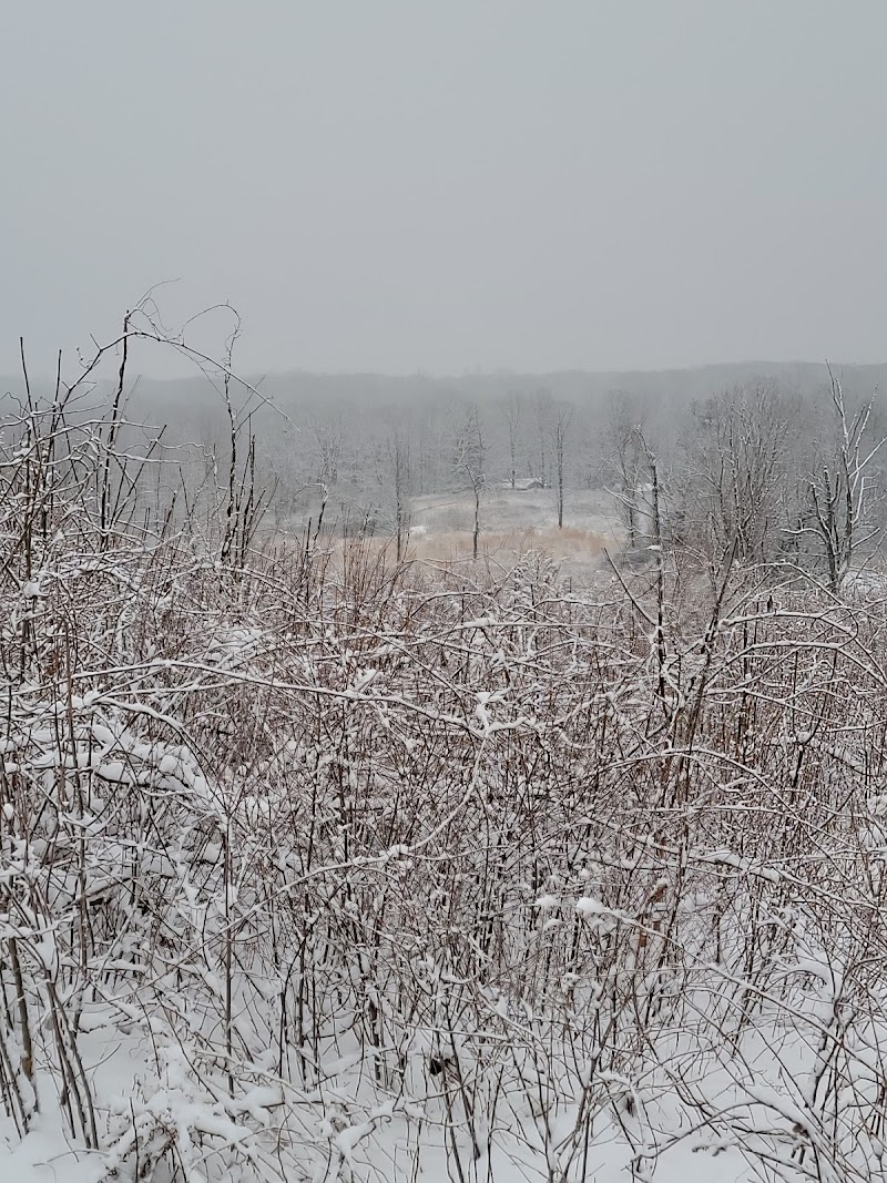 Holcombe Hill Wildlife Preserve photo 4