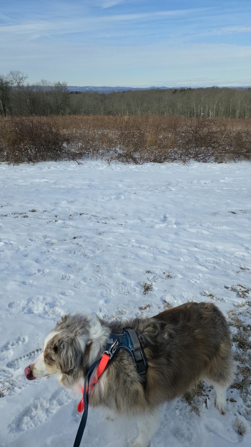 Holcombe Hill Wildlife Preserve photo 5