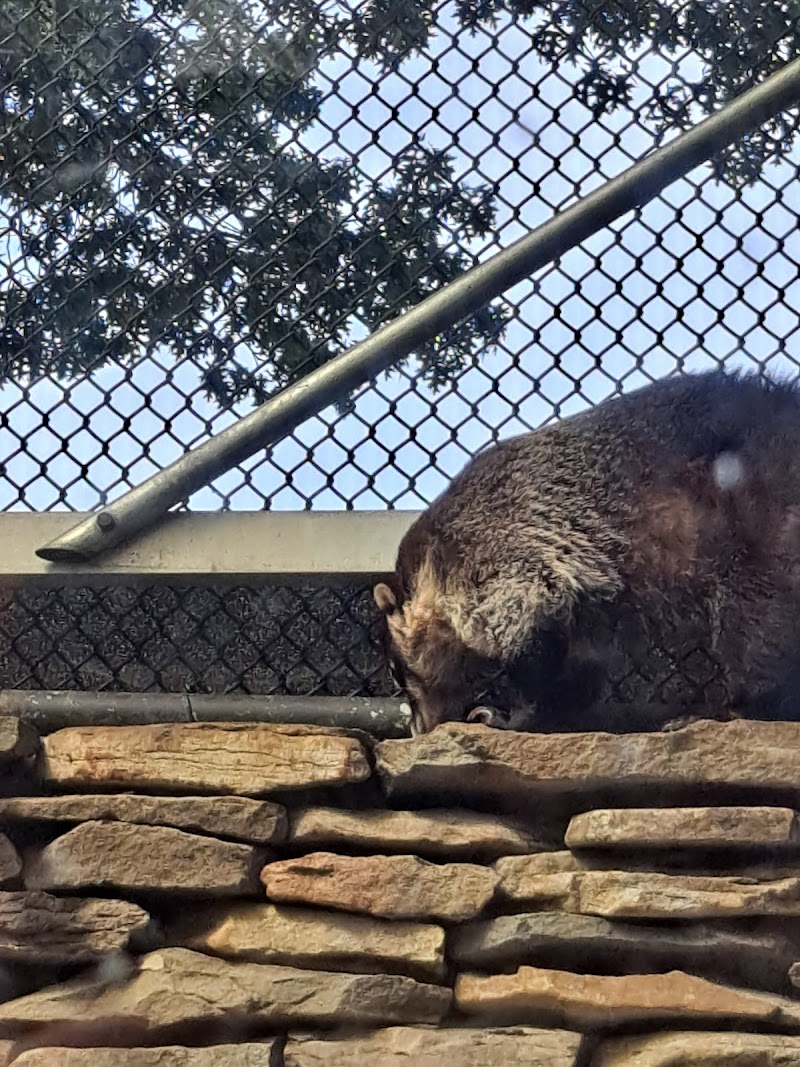 Holtsville animal park photo 2