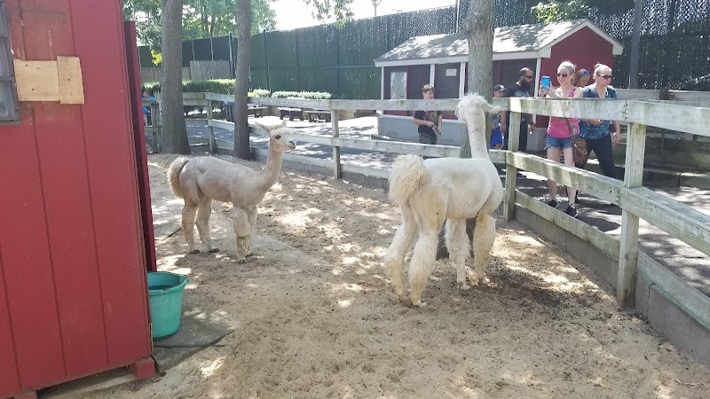 Holtsville animal park photo 3