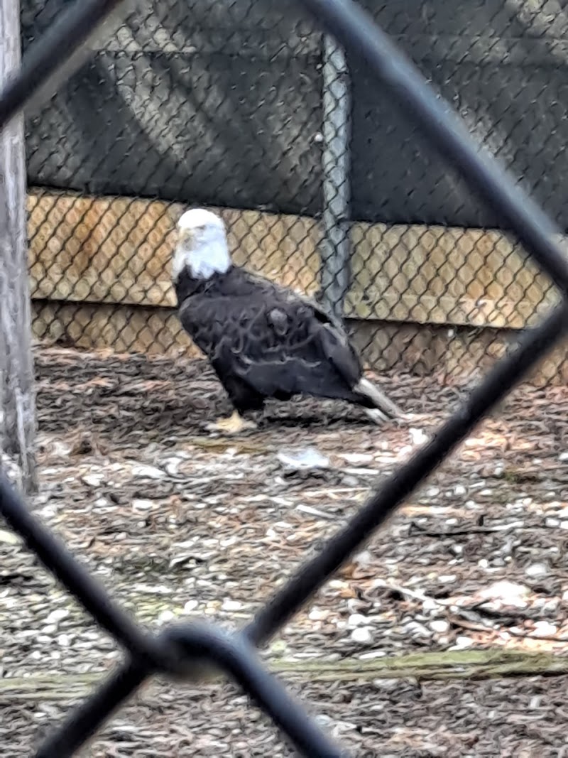 Holtsville animal park photo 5