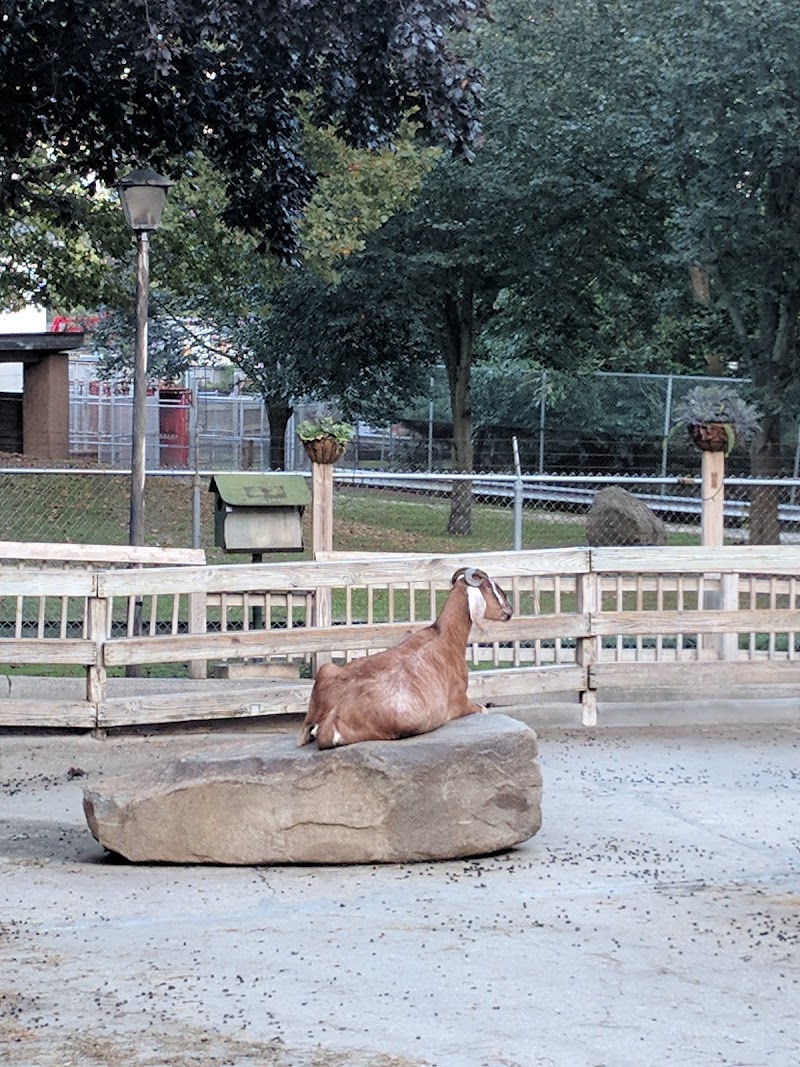 Holtsville Park photo 4