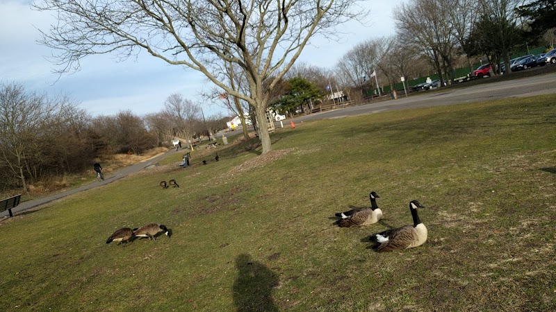 Holtsville Park photo 5