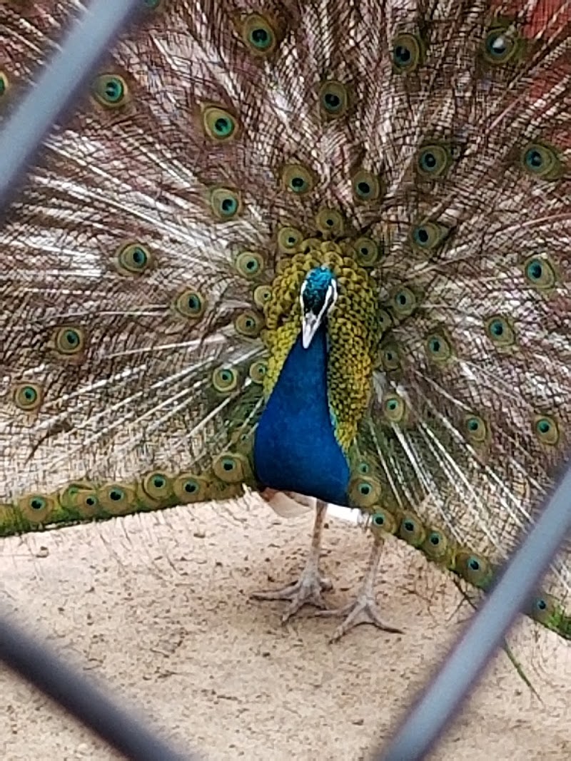 Holtsville Wildlife & Ecology Center photo 3