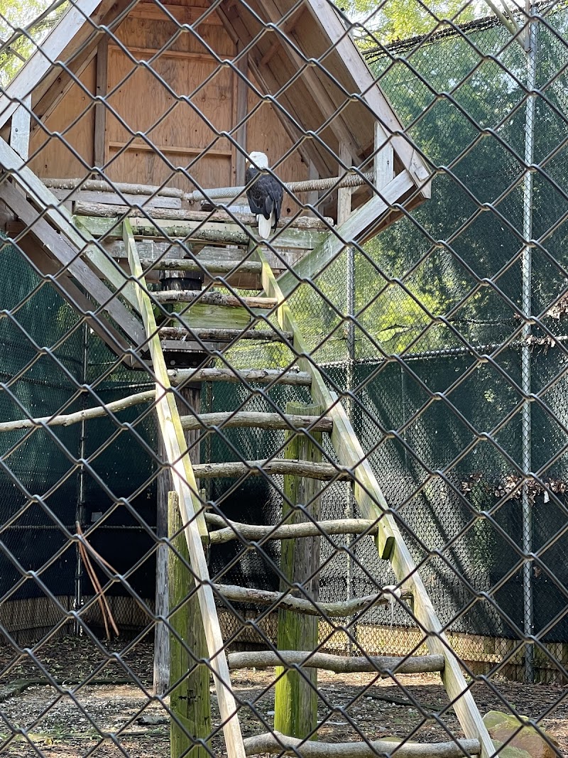 Holtsville Wildlife & Ecology Center photo 4
